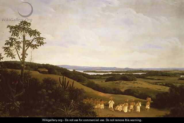 Panoramic View in Brazil with a River in the Distance - Frans Jansz. Post