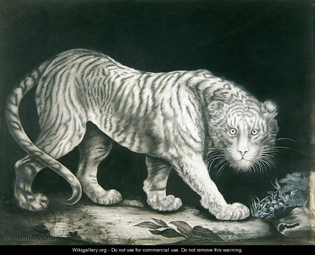 A Prowling Tiger - Elizabeth Pringle