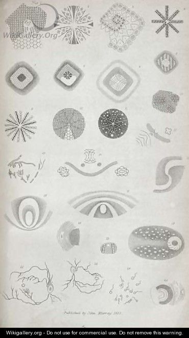 Plate II from Contributions of the physiology of vision No. I, published in the Journal of the Royal Institution, 1830 - Jan Purkinje