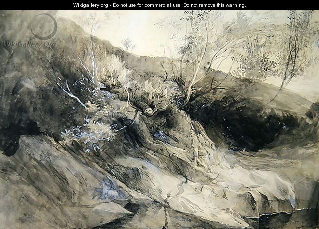 The Rocky Bank of a River - Verso sketch of foliage, c.1853 - John Ruskin