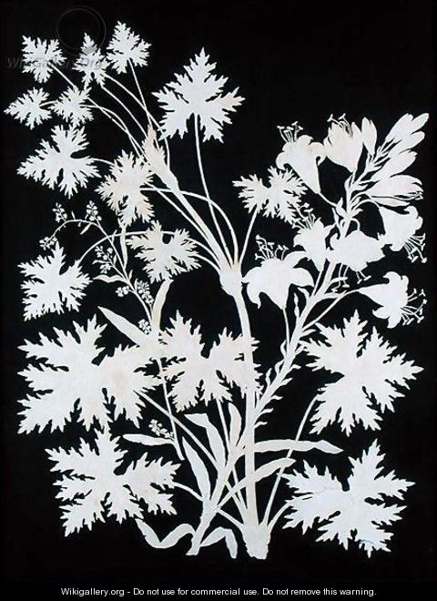 Flowers in Silhouette - Philipp Otto Runge