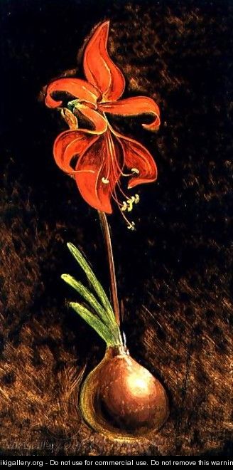 Amaryllis Formosissima, 1808 - Philipp Otto Runge