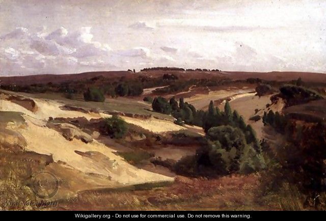 The heath near Bispingen, 1887 - Valentin Ruths