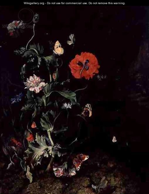 Forest Floor Still Life with Flowers and Butterflies - Rachel Ruysch