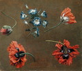 Poppies and Tradascanthus - Anonymous Artist