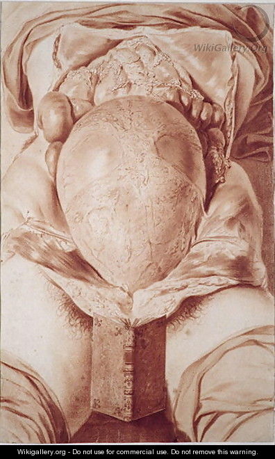 MS Hunter 658 Plate XXVI Drawing from William Hunters 1718-83 Anatomy of the Human Gravid Uterus, 1774 - Jan van Rymsdyk