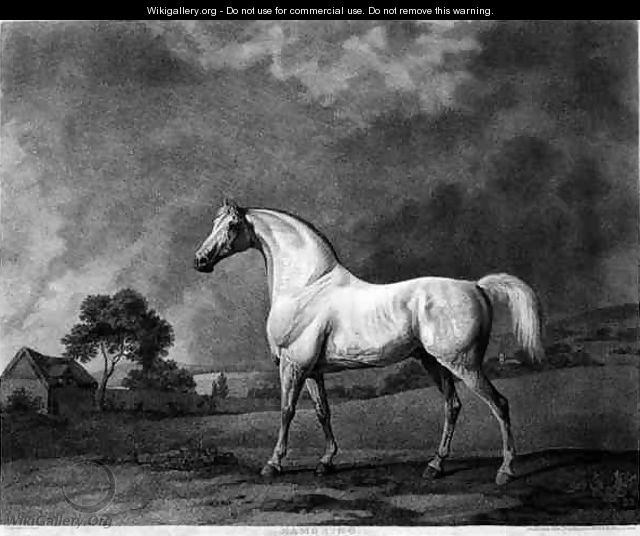 Mambrino, engraved by George Townley Stubbs 1756-1815 pub. 1794 - (after) Stubbs, George