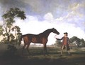 The Duke of Ancasters bay stallion Spectator, held by a groom, c.1762-5 - George Stubbs