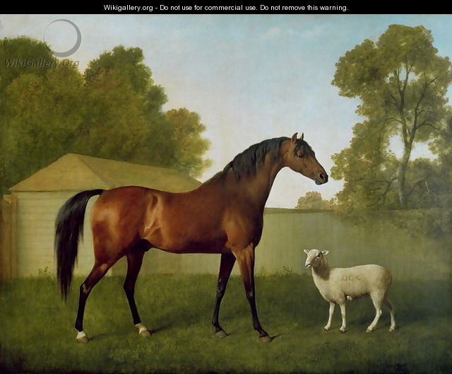 Dungannon, the property of Colonel OKelly, painted in a paddock with a sheep, 1793 - George Stubbs
