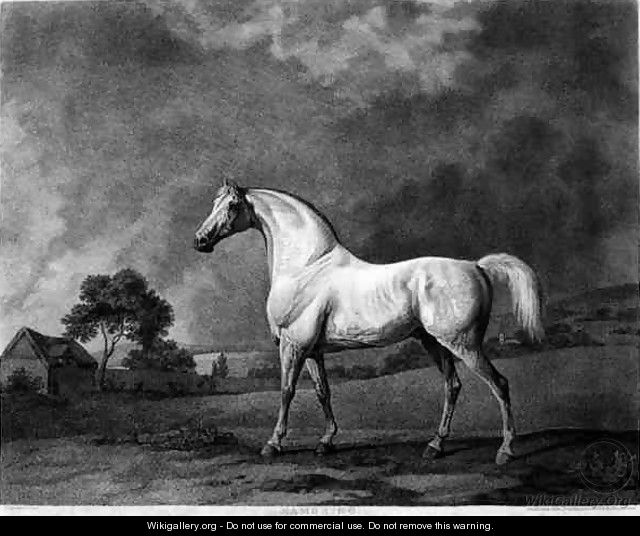 Mambrino, engraved by George Townley Stubbs 1756-1815 pub. 1794 - George Townley Stubbs