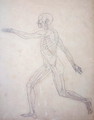 Study of the Human Figure, Lateral View, from A Comparative Anatomical Exposition of the Structure of the Human Body with that of a Tiger and a Common Fowl, c.1795-1806 3 - George Stubbs