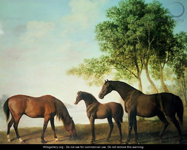 Shafto Mares and a Foal - George Stubbs