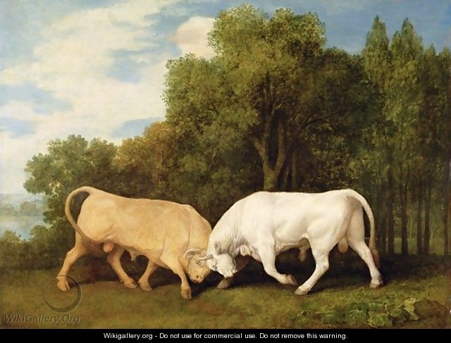 Bulls Fighting, 1786 - George Stubbs