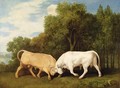 Bulls Fighting, 1786 - George Stubbs