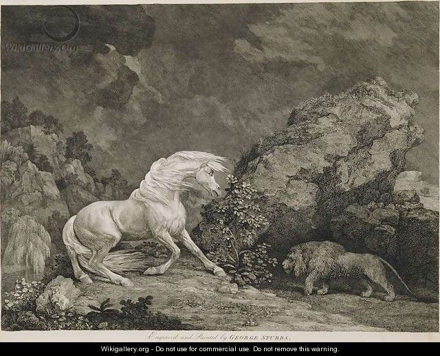 A Horse Affrighted by a Lion, engraved by the artist - George Stubbs