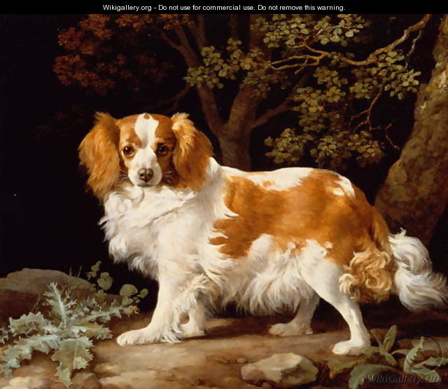 A Liver and White King Charles Spaniel in a Wooded Landscape, 1776 - George Stubbs