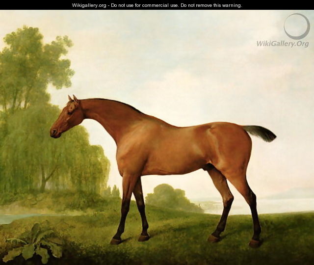 A Bay Thoroughbred in a Landscape, 1801 - George Stubbs