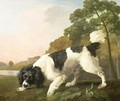 A Spaniel in a Landscape, 1771 - George Stubbs