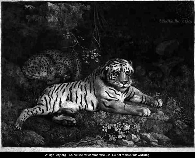 Two Tygers, engraved by the artist, pub. 1788 - George Stubbs