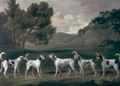 Foxhounds in a landscape, 1762 - George Stubbs
