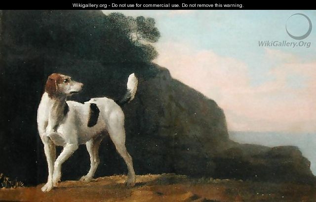 A Foxhound, c.1760 - George Stubbs