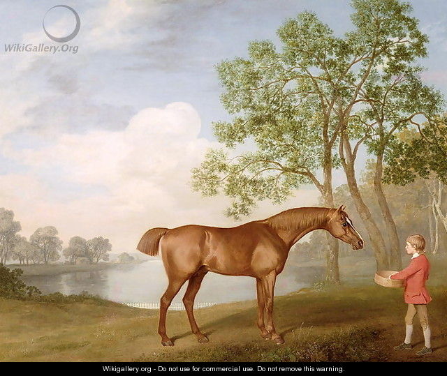 Pumpkin with a Stable-Lad, 1774 - George Stubbs