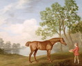 Pumpkin with a Stable-Lad, 1774 - George Stubbs