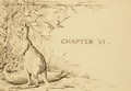 Illustration for chapter 6 of the artists story Cooey or The Trackers of Glenferry, c.1876 - William Strutt