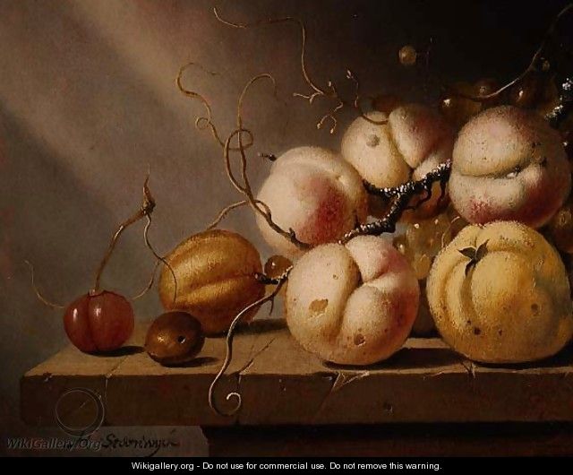 Still life of fruit on a ledge - Harmen van Steenwyck