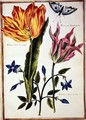Two Broken Tulips and a Periwinkle - Nicolas Robert