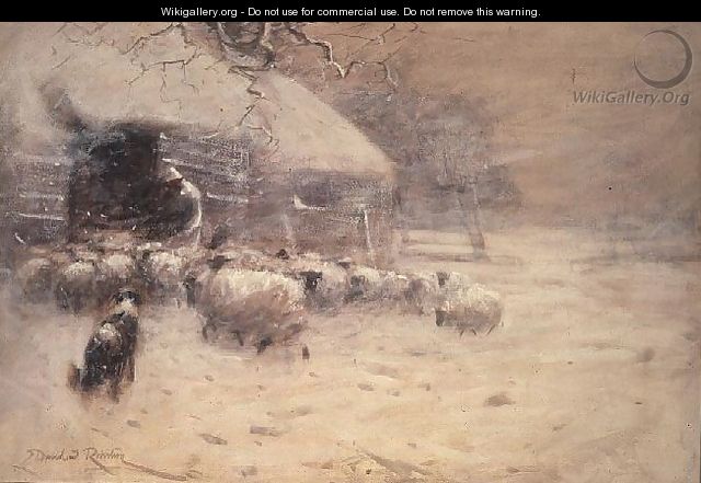 Sheep - Safe Haven - David Robertson