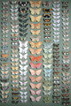One Hundred and Fifty-eight Butterflies - Marian Ellis Rowan