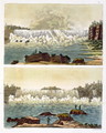 Niagara Falls, 1818 - L.A. Rossi