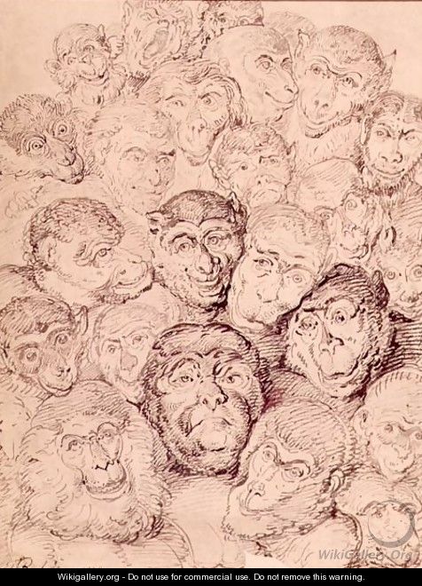 Monkey Faces, 1815 - Thomas Rowlandson