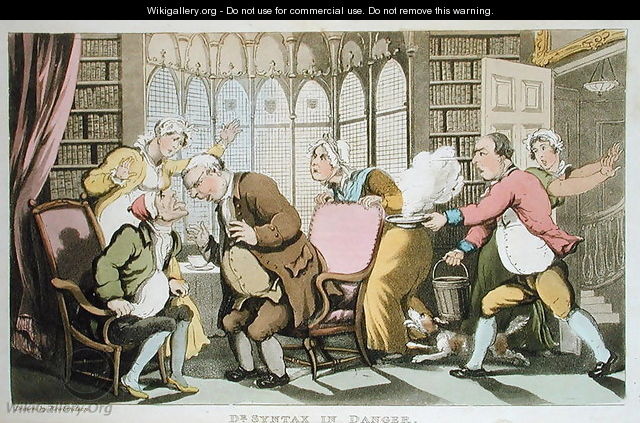 Dr Syntax in Danger, from The Tour of Dr Syntax in search of the Picturesque, by William Combe, published 1812 - Thomas Rowlandson