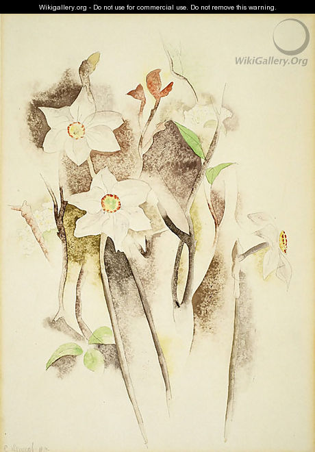 Narcissus - Charles Demuth