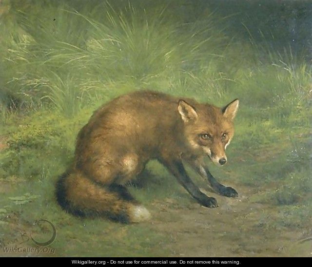 Study of a Fox - Rosa Bonheur