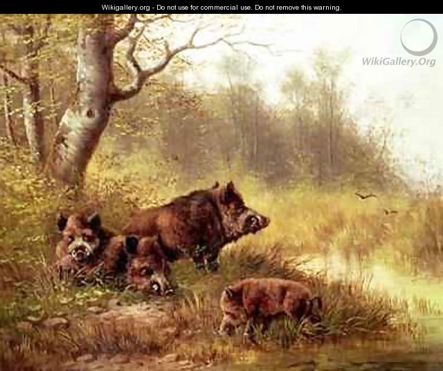 Wild Boar in the Black Forest 1880 - Moritz Muller
