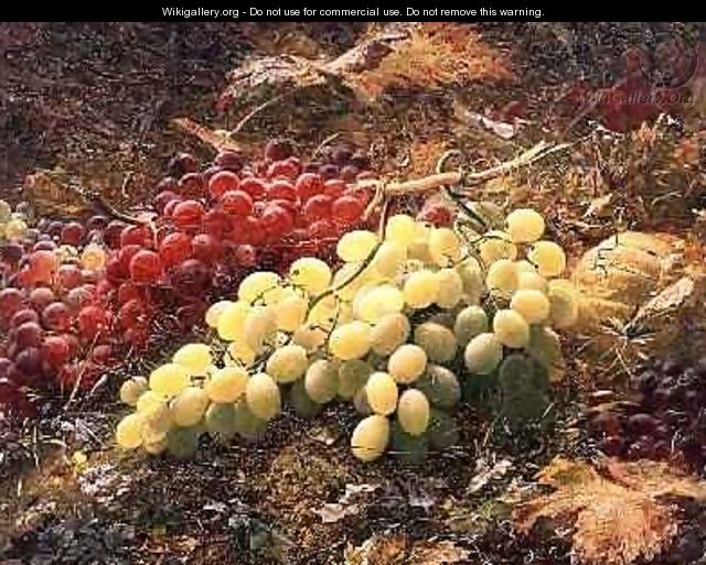 Grapes - William Muckley