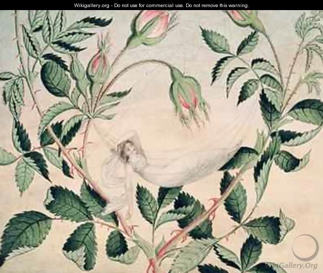 A fairy resting in a hammock spun from cobweb 1827-29 - Amelia Jane Murray