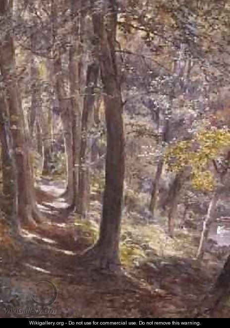 A Woodland Glade 1872 - Paul Jacob Naftel
