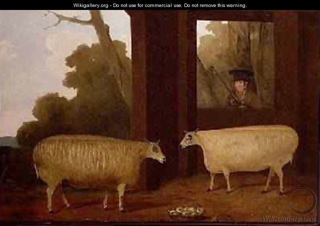A Pair of Prize Rams with a Farmer Beside a Pen 1832 - G.B. Newmarch