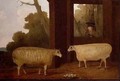 A Pair of Prize Rams with a Farmer Beside a Pen 1832 - G.B. Newmarch