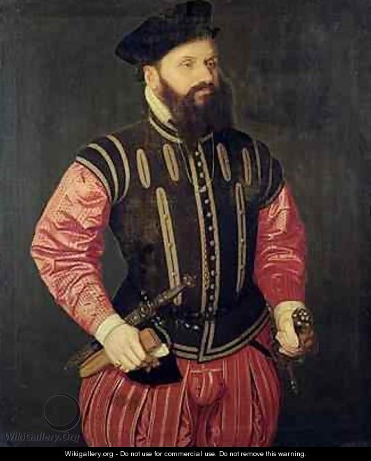 Portrait of Hieronimus Koler 1528-1573 - Nicolas Neufchatel