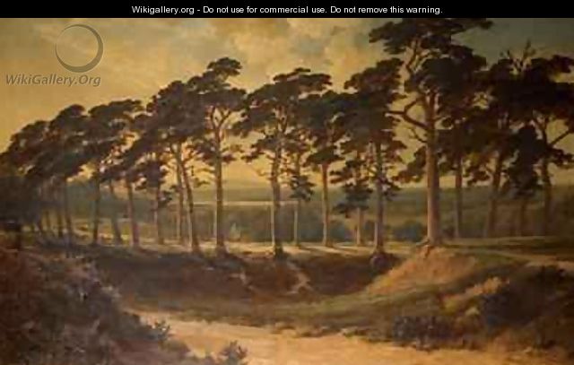 Harrow from the First Hampstead Heath 1875 - Edmund John Niemann, Snr.