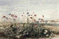 Wild Flowers on the Irish Coast - Andrew Nicholl
