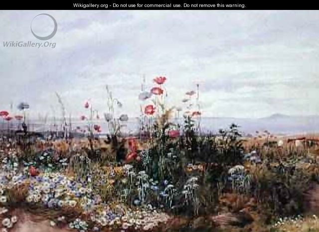 Wildflowers with a View of Dublin Dunleary - Andrew Nicholl