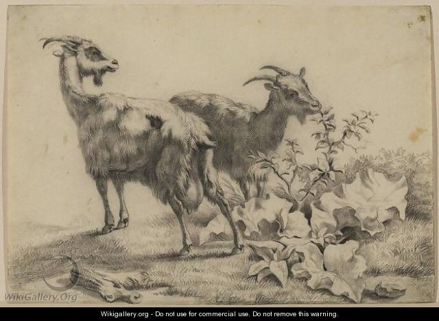 Two Goats - Eugène Verboeckhoven
