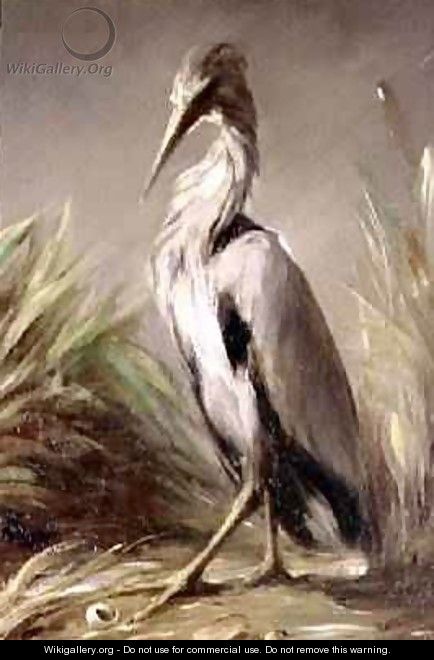 A Heron - Jean-Baptiste Oudry