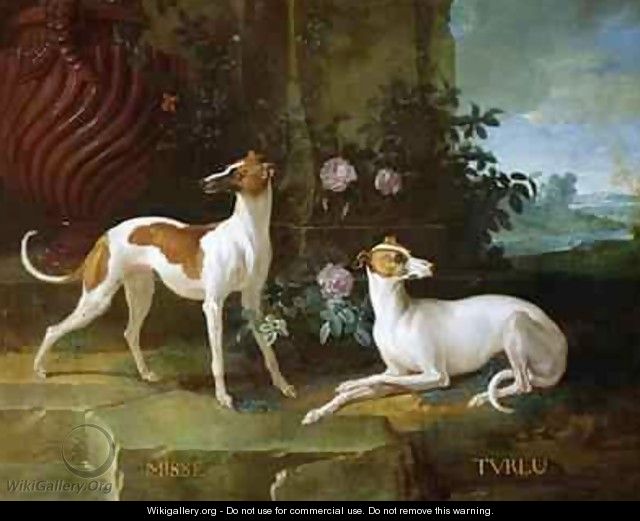 Misse and Turlu, two greyhounds of Louis XV - Jean-Baptiste Oudry